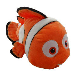 Alla ricerca di Nemo...