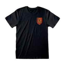Quidditch Gryffindor...
