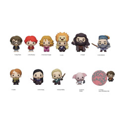 Harry Potter 3D PVC Bag...