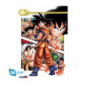 Son Goku Story Poster Dragon Ball